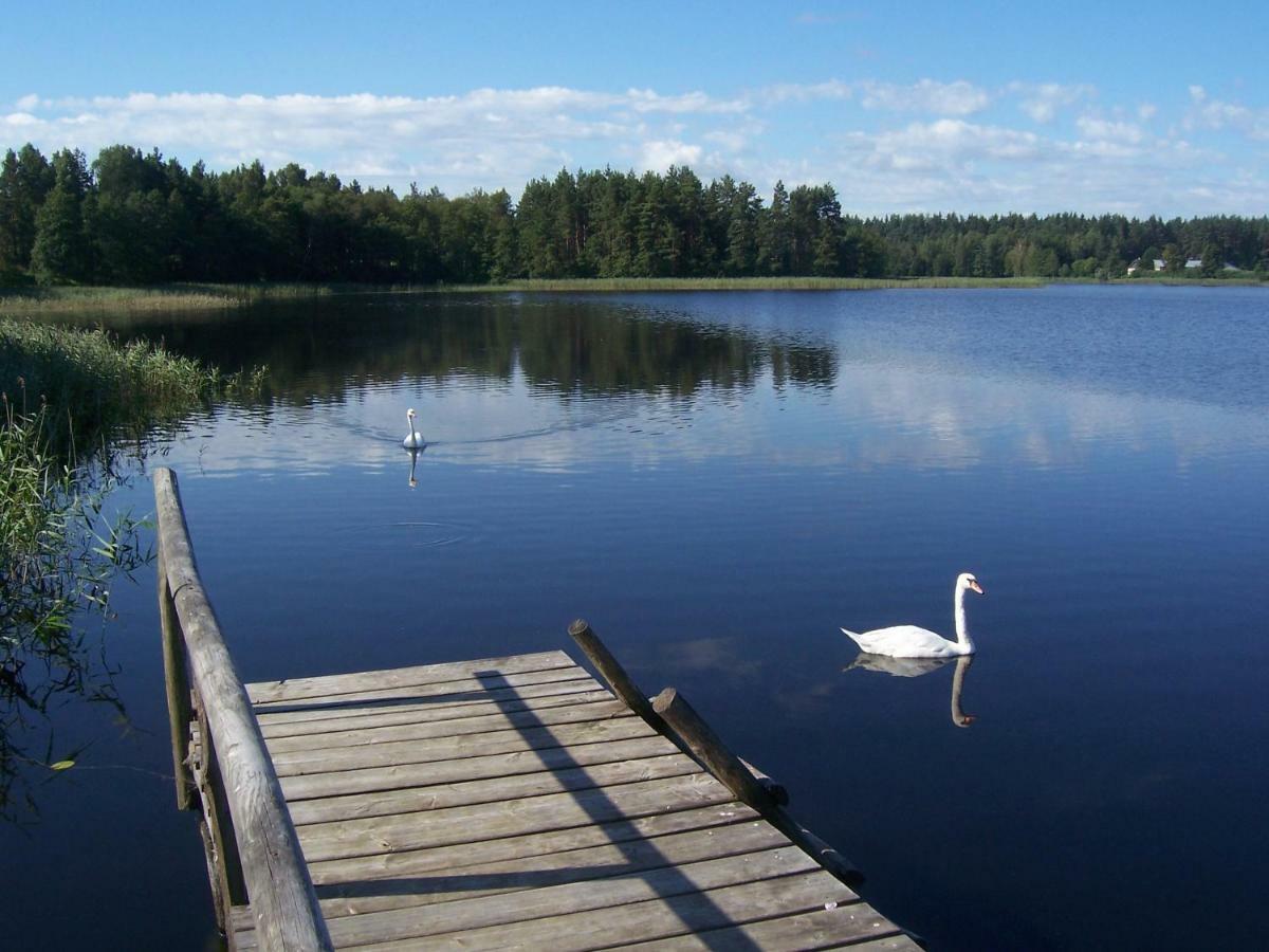 Domwigierski Pl -Jeziorki -Gr- Comfort-Ferienhaus-Polen - Wlasna Linia Brzegowa I Sauna Wysoki Most  Экстерьер фото