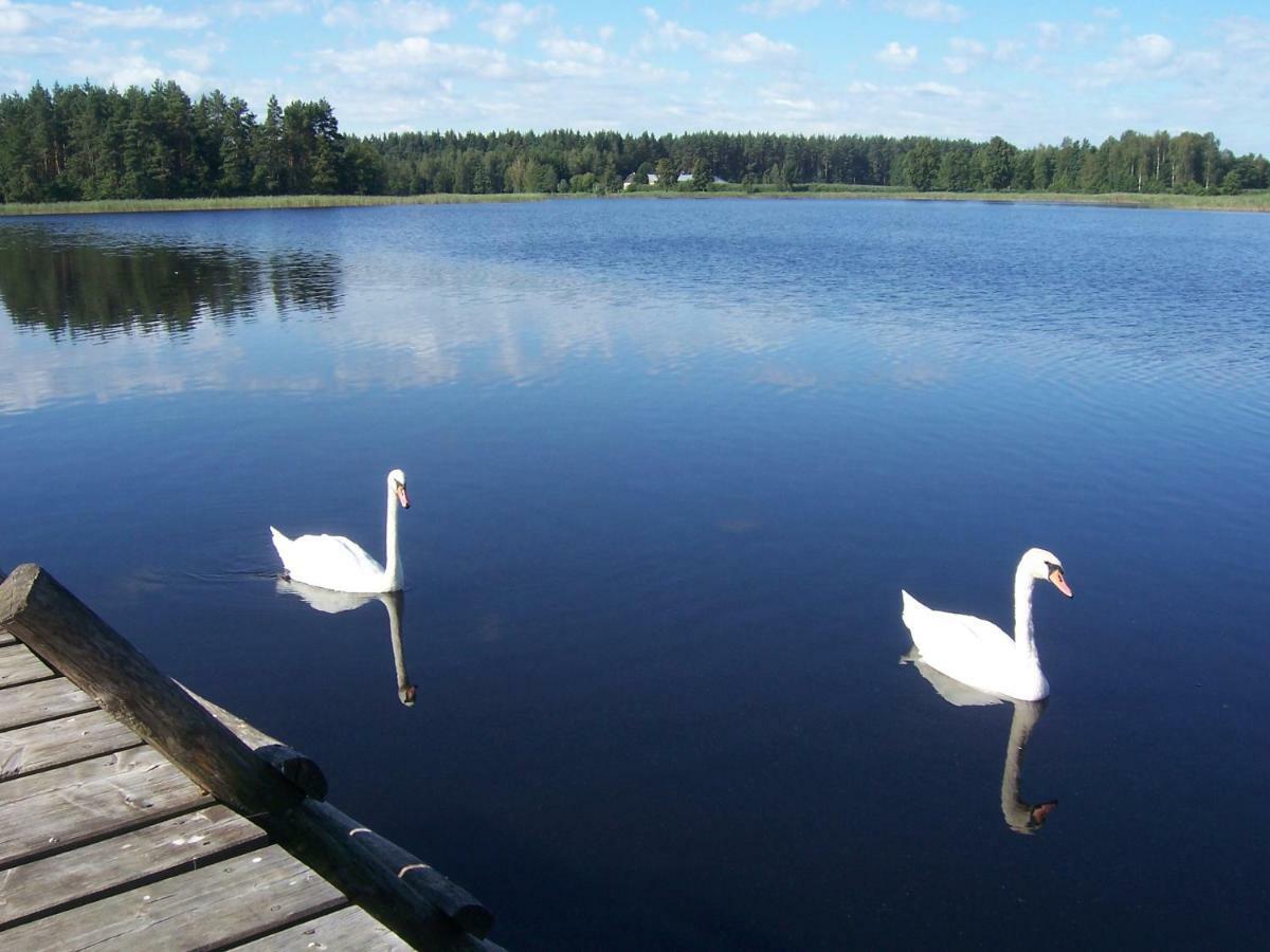 Domwigierski Pl -Jeziorki -Gr- Comfort-Ferienhaus-Polen - Wlasna Linia Brzegowa I Sauna Wysoki Most  Экстерьер фото